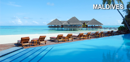 $12 for $25 Worth of Magazine Subscriptions from Blue Dolphin Magazines